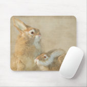 Bunny Buddies Mousepad (Mit Mouse)