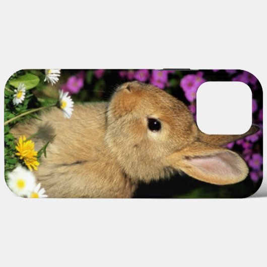 Bunny Case-Mate iPhone Hülle (Rückseite (Horizontal))