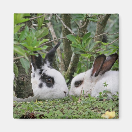 Bunny Couple Magnet (Vorne)