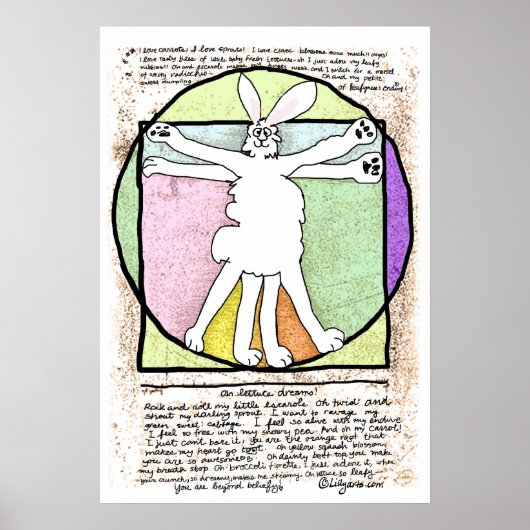 Bunny DaVinci Poster und Print (Vorne)