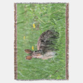 Bunny Decke (Vorderseite Vertikal)