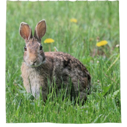 Bunny Duschvorhang (Vorderseite)