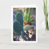 Bunny Ears Cactus und Aloe Vera Pflanze Karte (Vorderseite)