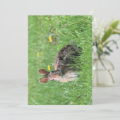 Bunny Einladung (Stehend Vorderseite)