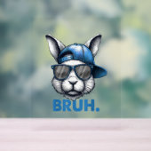 Bunny Face Bruh Meme Funny Sprichwort Bro Gruß Eas Acrylschild (Neutral)
