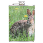 Bunny Flachmann (Vorderseite)