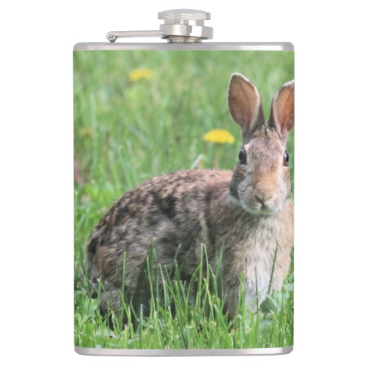 Bunny Flachmann (Vorderseite)