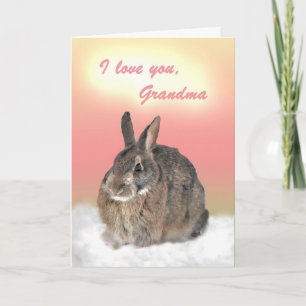 Bunny for Grandma Mother's Day Karte