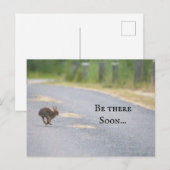 Bunny Foto Postcard Feiertagspostkarte (Vorne/Hinten)