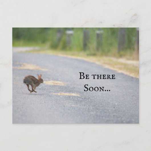 Bunny Foto Postcard Feiertagspostkarte (Vorderseite)