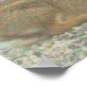 Bunny Foto Poster (Ecke)