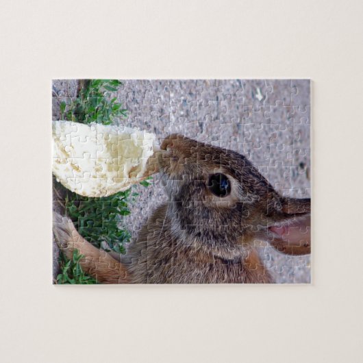 Bunny Found Brot Puzzle (Horizontal)