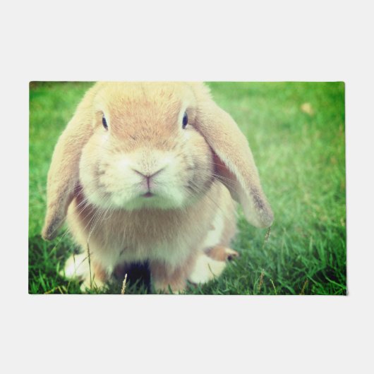 Bunny Fußmatte (Vorderseite)