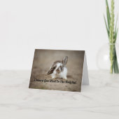 Bunny Get Well Greycard Karte (Vorderseite)