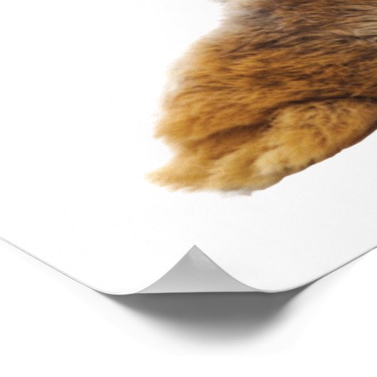 Bunny Hintern Rabbit Bubble Kinderzimmer Child Poster (Ecke)