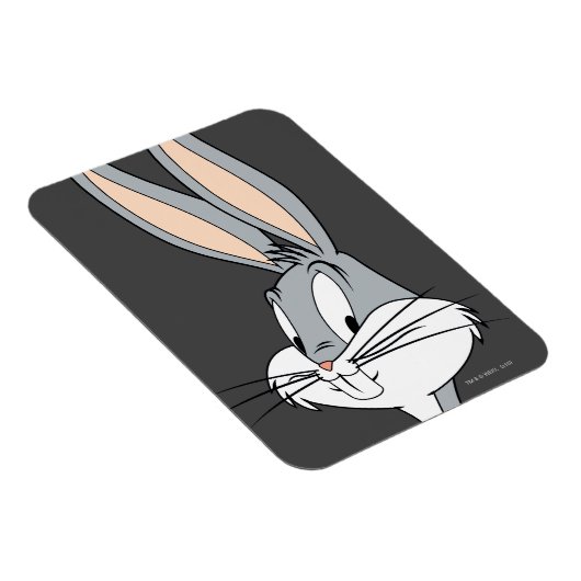 BUNNY™| Hüfthandschuhe Magnet (Rechte Seite)