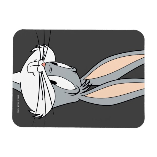 BUNNY™| Hüfthandschuhe Magnet (Horizontal)