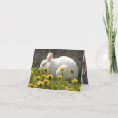 Bunny Karte (Rückseite)
