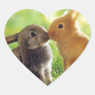 Bunny Kiss Herz-Aufkleber