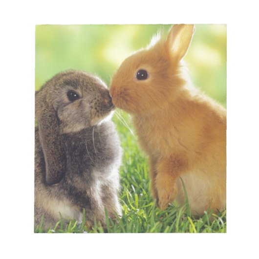 Bunny Kiss Notizblock (Vorderseite)