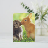 Bunny Kiss Postkarte (Stehend Vorderseite)