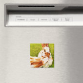 Bunny Kisses Rabbit Magnet (In Situ (Geschirrspüler))