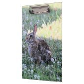 Bunny Klemmbrett (Links)