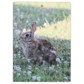 Bunny Klemmbrett (Rückseite)