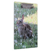 Bunny Klemmbrett (Rechts)