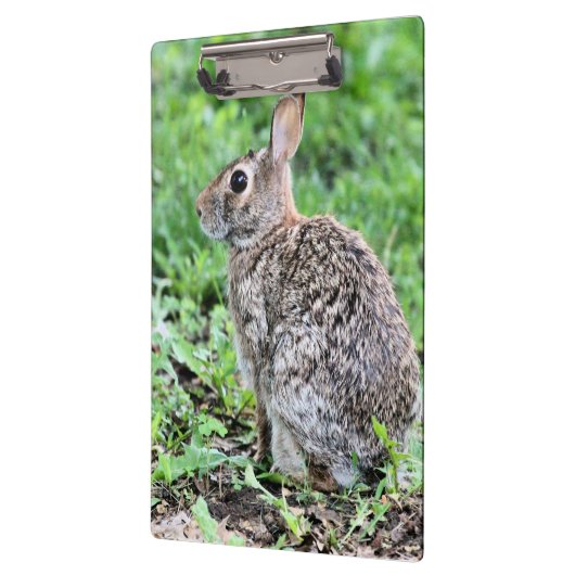 Bunny Klemmbrett (Links)