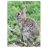 Bunny Klemmbrett (Rückseite)