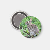 Bunny Magnet (Vorderseite/Rückseite)
