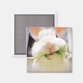 Bunny Magnet (Vorderseite/Rückseite)