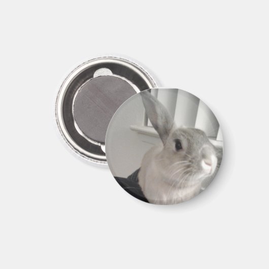 Bunny Magnet (Vorderseite/Rückseite)