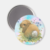 Bunny Magnet (Vorderseite/Rückseite)