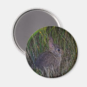 Bunny Magnet (Vorderseite/Rückseite)