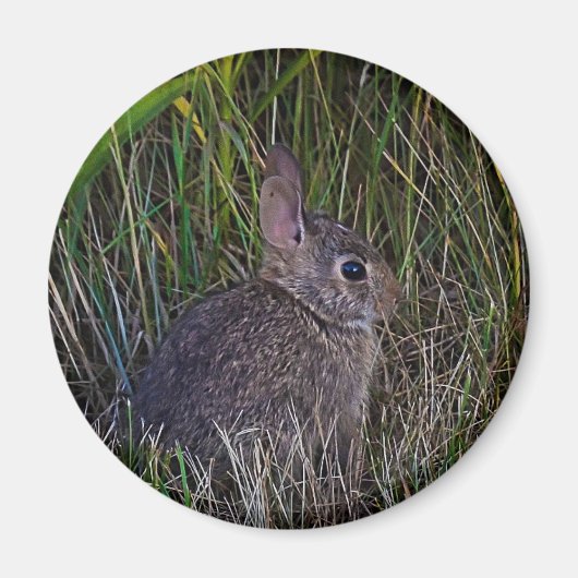 Bunny Magnet (Vorne)