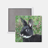 Bunny-Magnet Magnet (Vorderseite/Rückseite)