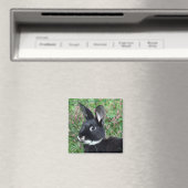 Bunny-Magnet Magnet (In Situ (Geschirrspüler))