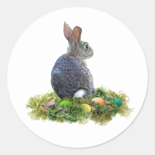 Bunny mit farbigen Eiern in Lichen Runder Aufkleber (Vorderseite)