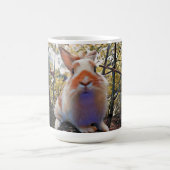 Bunny Morphing Tasse (Zentrum)