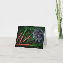 Bunny Munches Carrots / Notecard Karte