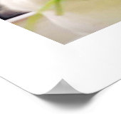 Bunny Munching Poster (Ecke)