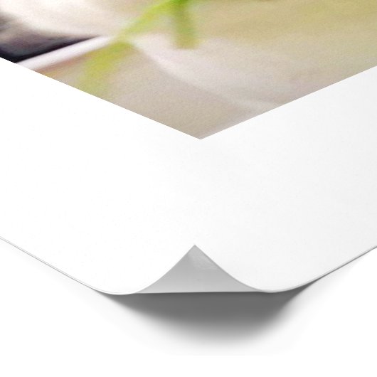 Bunny Munching Poster (Ecke)