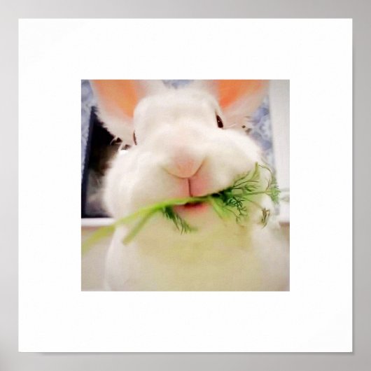 Bunny Munching Poster (Vorne)