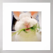 Bunny Munching Poster (Vorne)