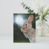 Bunny Nature Foto Postkarte (Stehend Vorderseite)