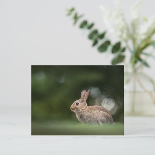 Bunny Nature Foto Postkarte (Stehend Vorderseite)