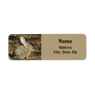 Bunny Niedlich Little Rabbit Brown Desert Animal
