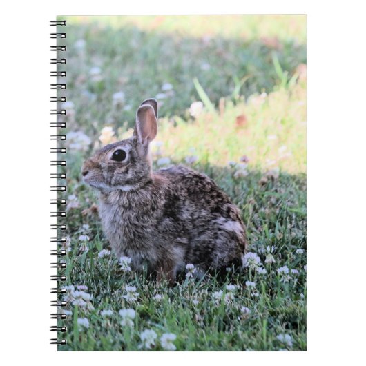 Bunny Notizblock (Vorderseite)